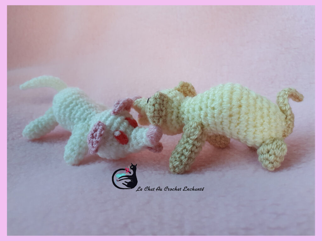 furet au crochet